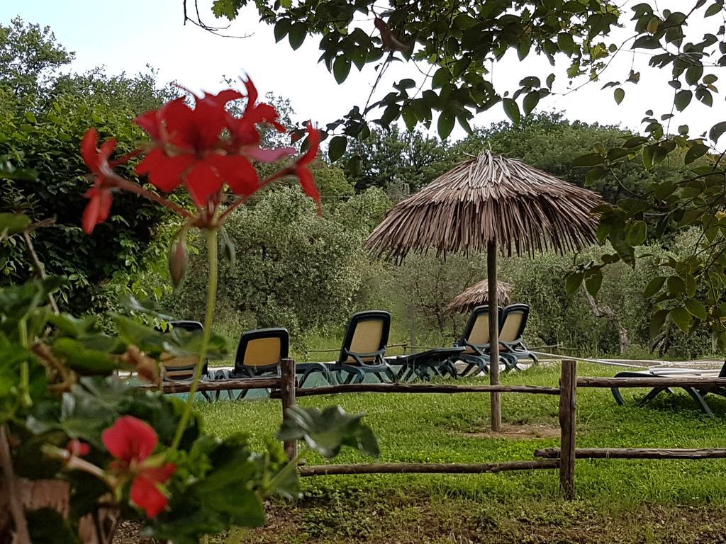 Tenuta Col Di Sasso Скарлино Экстерьер фото