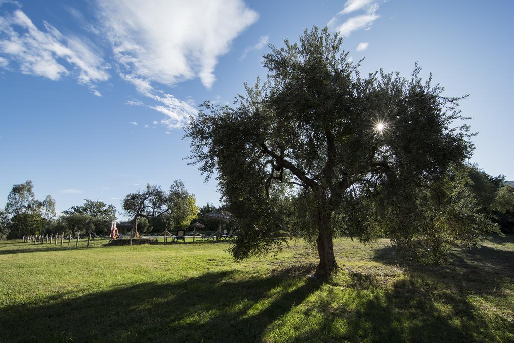 Tenuta Col Di Sasso Скарлино Экстерьер фото
