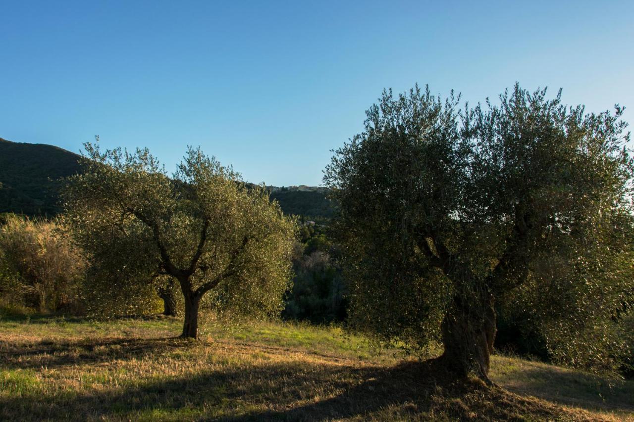 Tenuta Col Di Sasso Скарлино Экстерьер фото