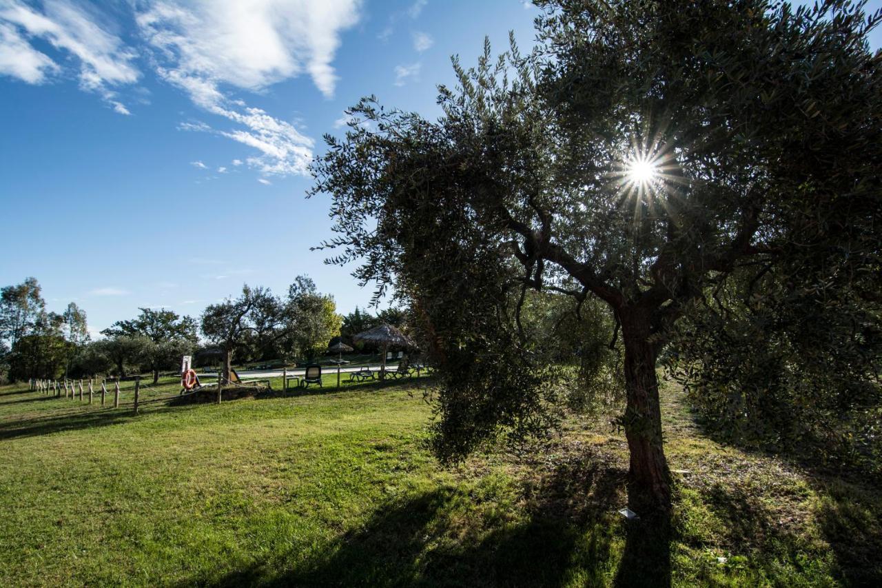 Tenuta Col Di Sasso Скарлино Экстерьер фото
